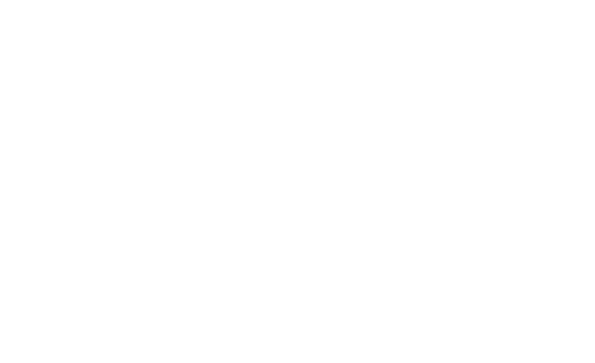 Iron Ambition